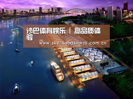 案例展示八