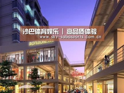 案例展示一