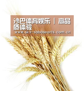 沙巴体育娱乐 | 高品质体验