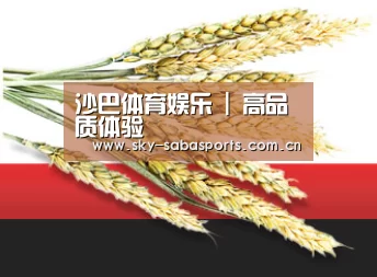 沙巴体育娱乐 | 高品质体验