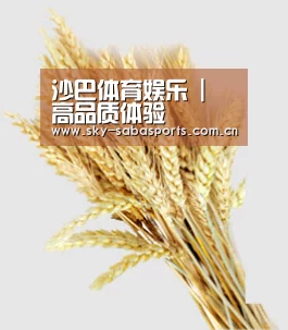 沙巴体育娱乐 | 高品质体验