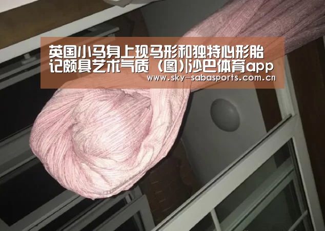 英国小马身上现马形和独特心形胎记颇具艺术气质(图)|沙巴体育app(图1) 沙巴体育app