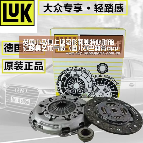 英国小马身上现马形和独特心形胎记颇具艺术气质(图)|沙巴体育app(图4) 沙巴体育官网