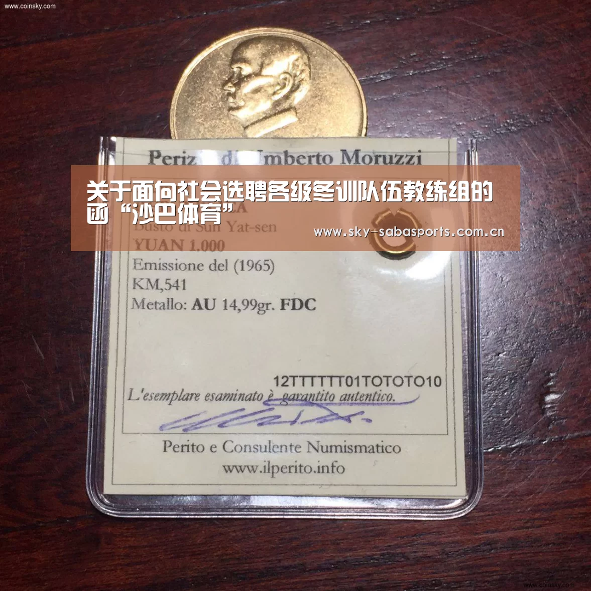 关于面向社会选聘各级冬训队伍教练组的函“沙巴体育”(图1) 沙巴体育app
