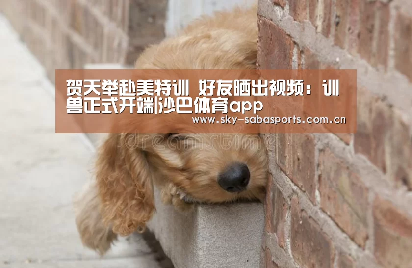 贺天举赴美特训 好友晒出视频:训兽正式开端|沙巴体育app(图4) 沙巴体育平台