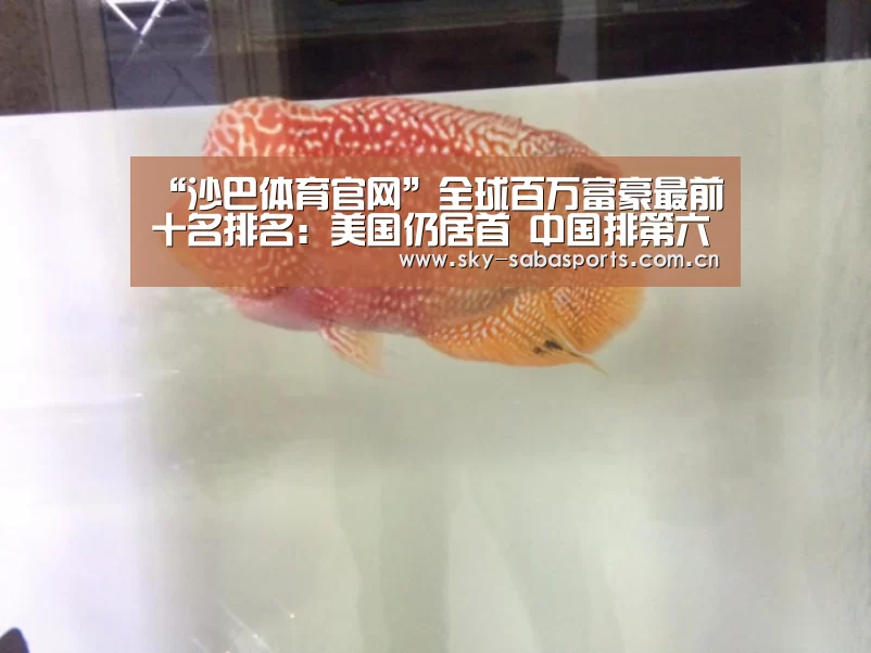 沙巴体育app