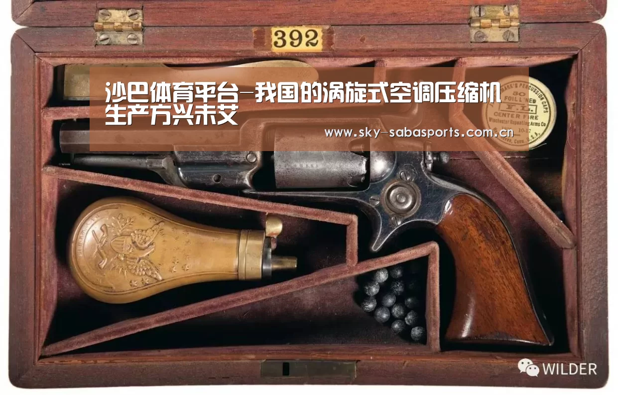 沙巴体育平台-我国的涡旋式空调压缩机生产方兴未艾(图1) 沙巴体育app