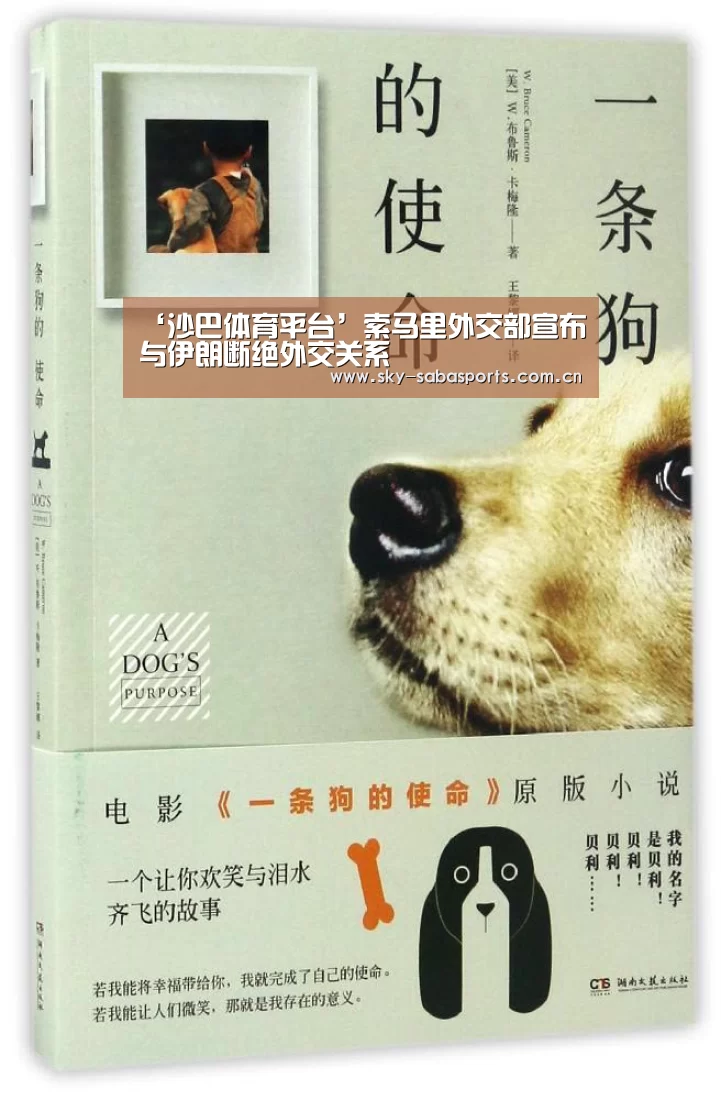 ‘沙巴体育平台’索马里外交部宣布与伊朗断绝外交关系(图2) 沙巴体育官网