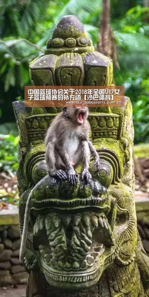 沙巴体育