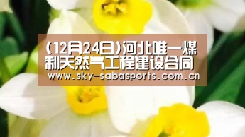 (12月24日)河北唯一煤制天然气工程建设合同签订‘沙巴体育官网’(图3) 沙巴体育