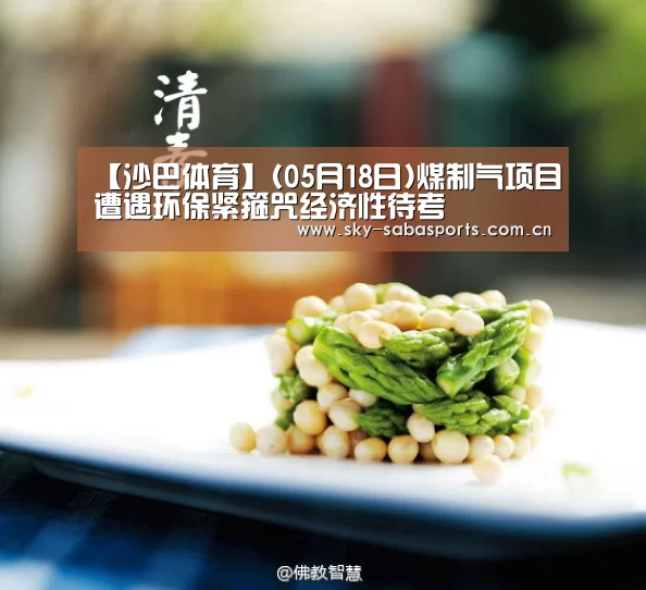 【沙巴体育】(05月18日)煤制气项目遭遇环保紧箍咒经济性待考(图1) 沙巴体育