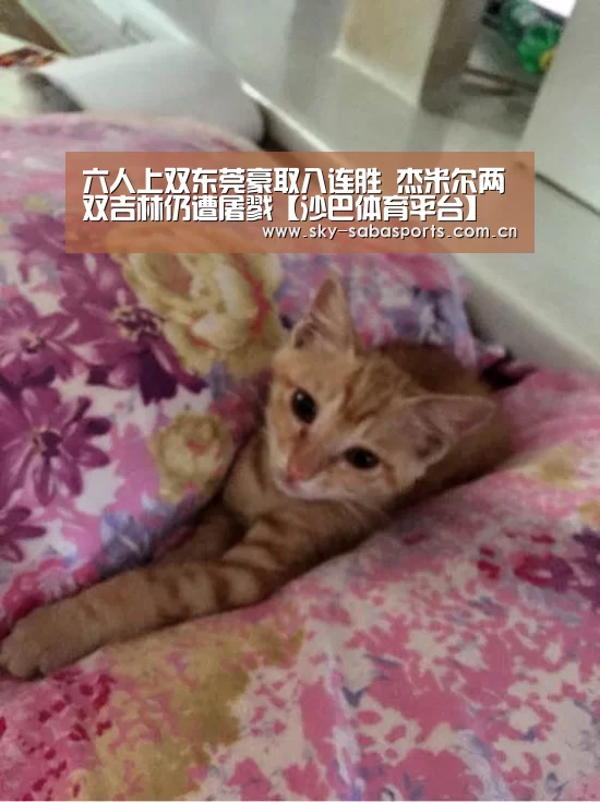 六人上双东莞豪取八连胜 杰米尔两双吉林仍遭屠戮【沙巴体育平台】(图1) 沙巴体育平台